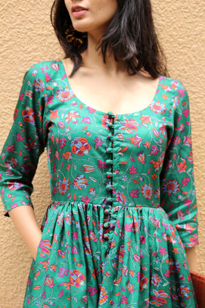 Bagh Kanjivaram Silk Dress